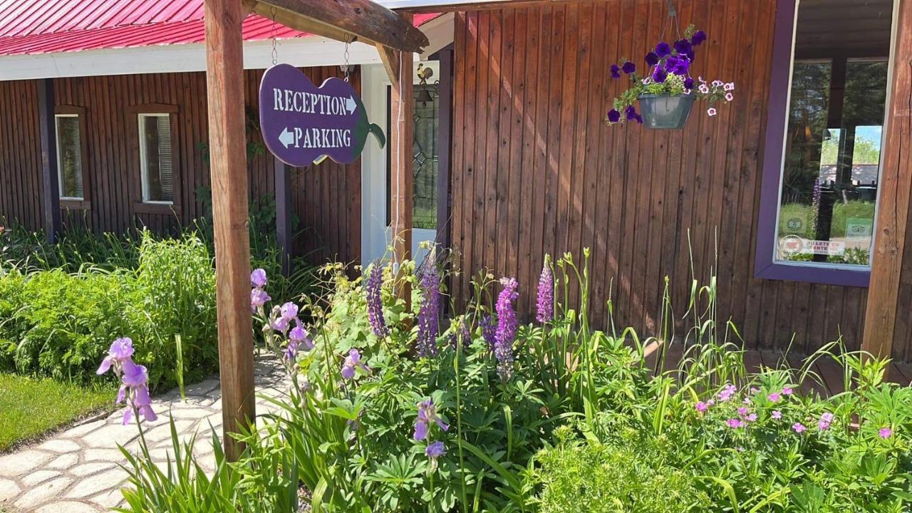 Hotel L'Aubergine Saint Hilarion Exterior foto